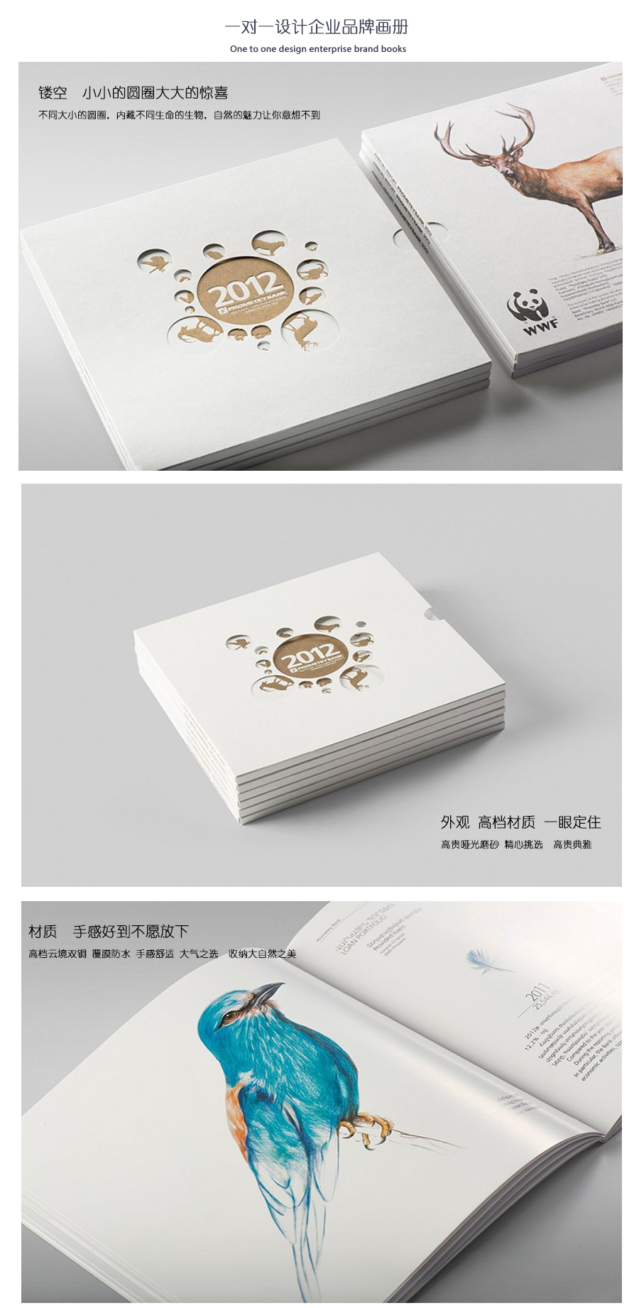 精美生物畫冊、精裝畫冊